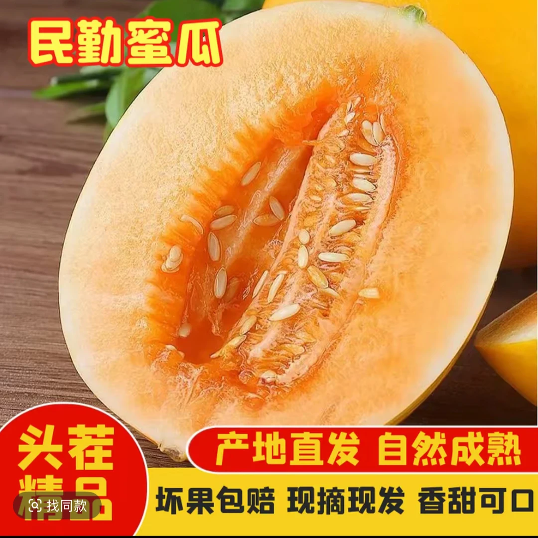 【一枝花团长】甘肃民勤蜜瓜新鲜水果当季黄金蜜瓜甜密瓜时令