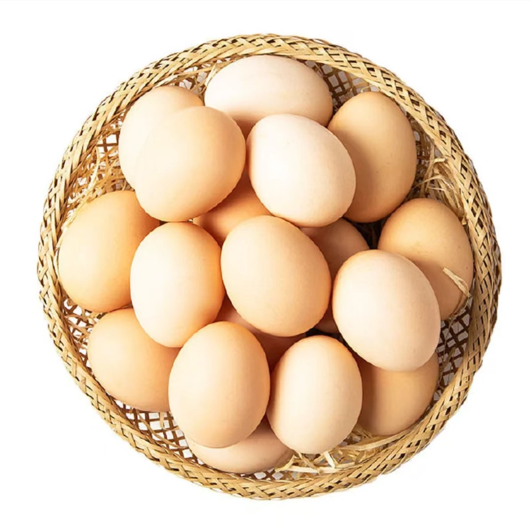 农村散养笨鸡蛋50枚包邮