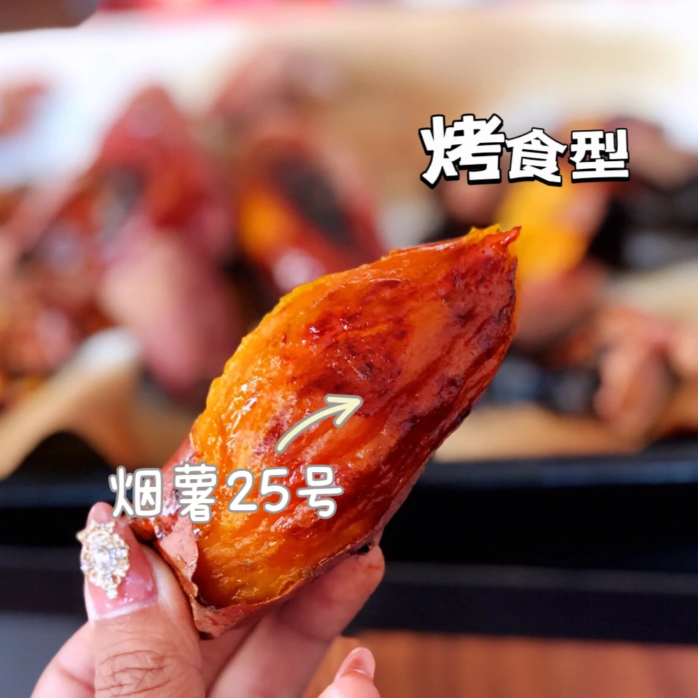 山东蜜薯25号新鲜糖心蜜薯软糯香甜。
生鲜不支持7天退换货。