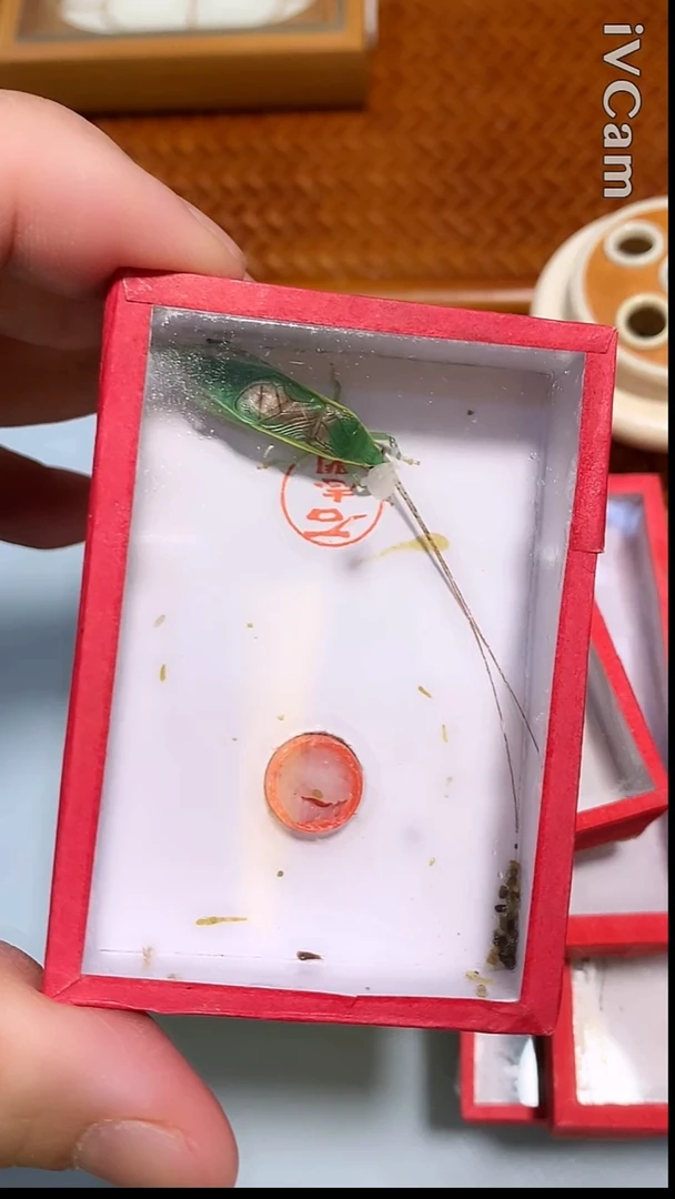 乡**士全品石金钟一条哈哈