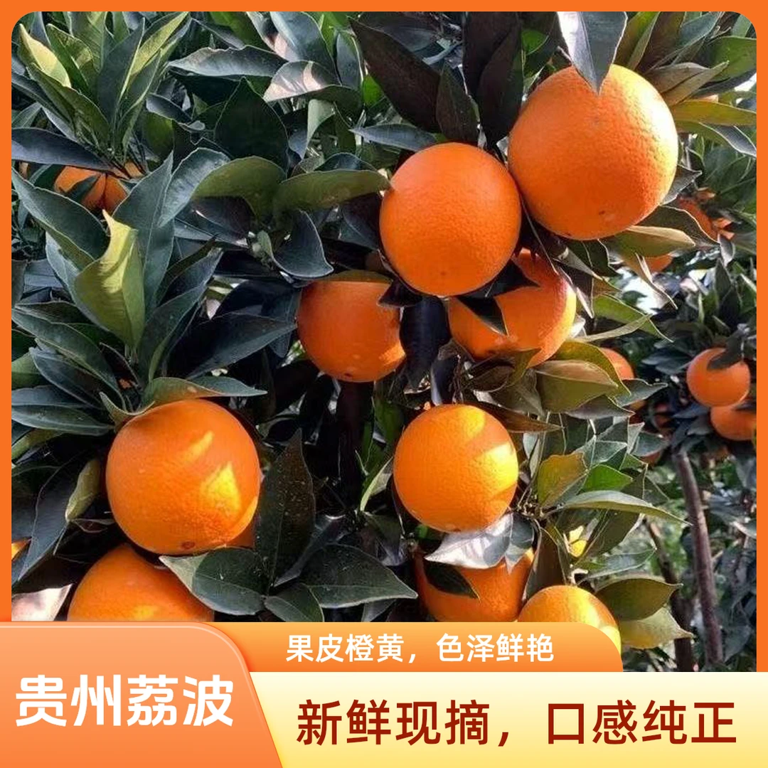 贵州荔波高山蜂蜜脐橙香甜爆汁鲜香上市新鲜水果水果当季热卖