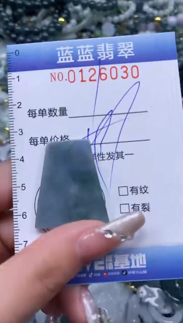 【闪购商品】翡翠颈饰未镶嵌闪购0126030多样性发其一