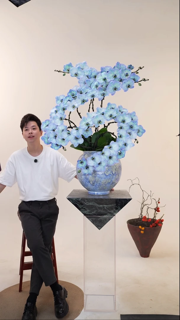 全部花朵054一物一拍蝴蝶兰盆景