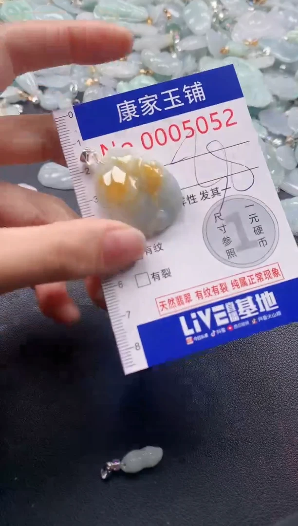 颈饰未镶嵌翡翠5052