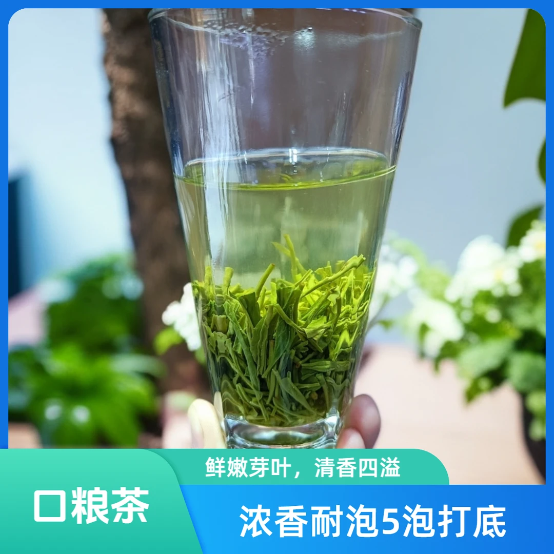 2025保康毛尖 浓香耐泡滋味醇厚 汤清叶绿 入口生香5泡打底口粮茶