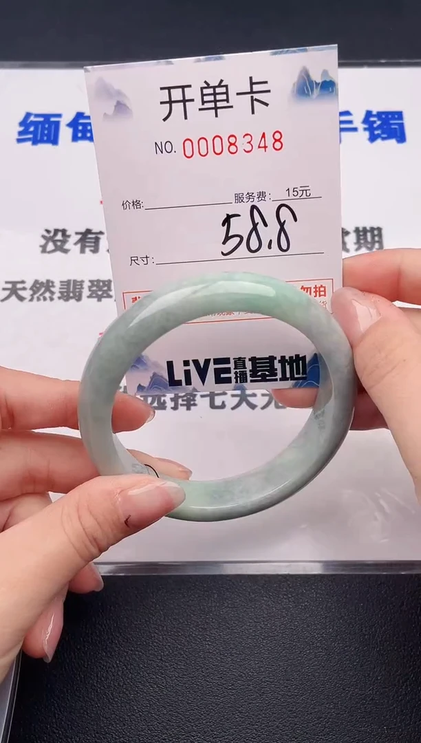 未镶嵌手镯翡翠48