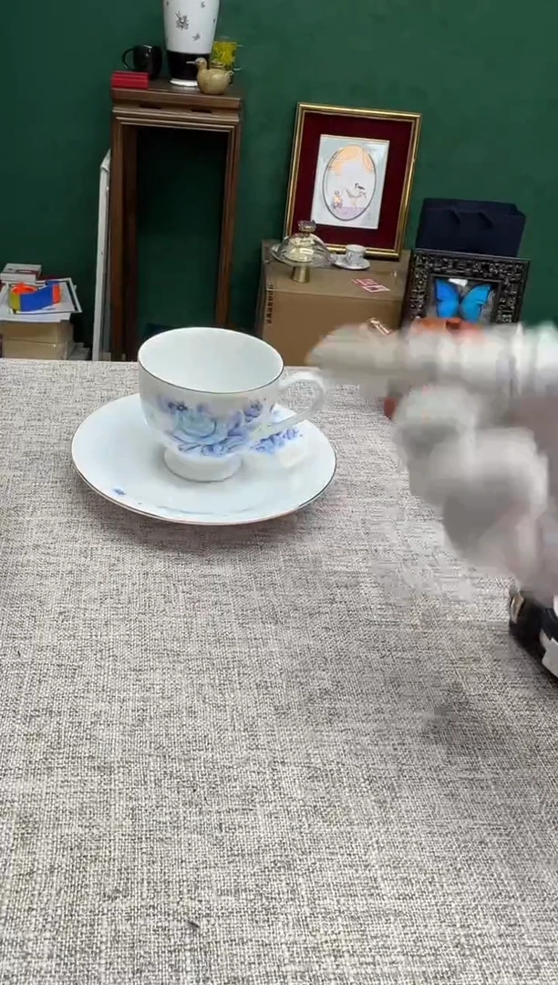 【闪购商品】瓷片h529好好好好好好