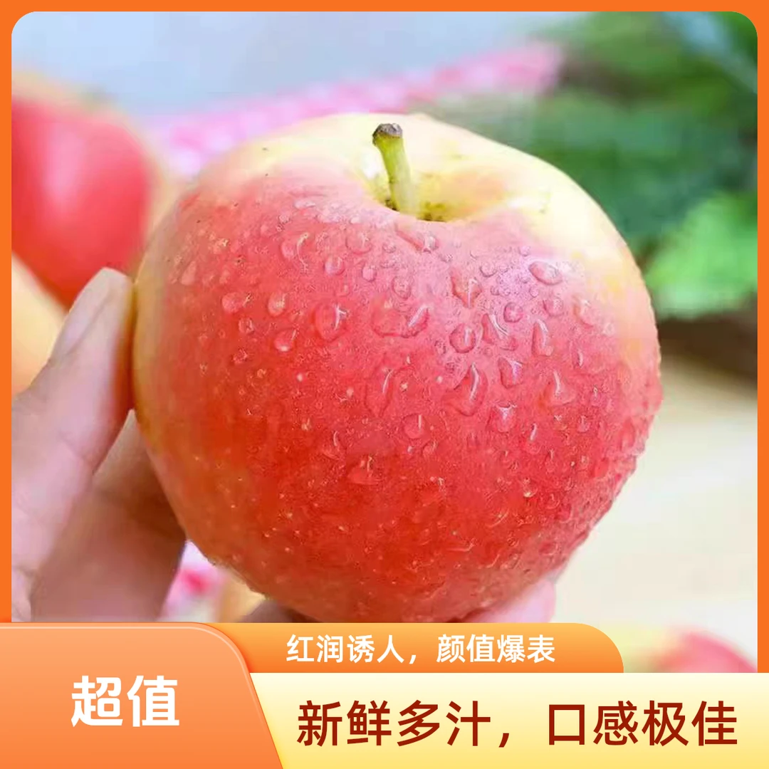 【开播链接】【拍3斤送2斤】【头茬本地嘎啦苹果-无酸】清脆爽口 汁水充足 顺丰包邮 次日达 限量100单！！！北京市