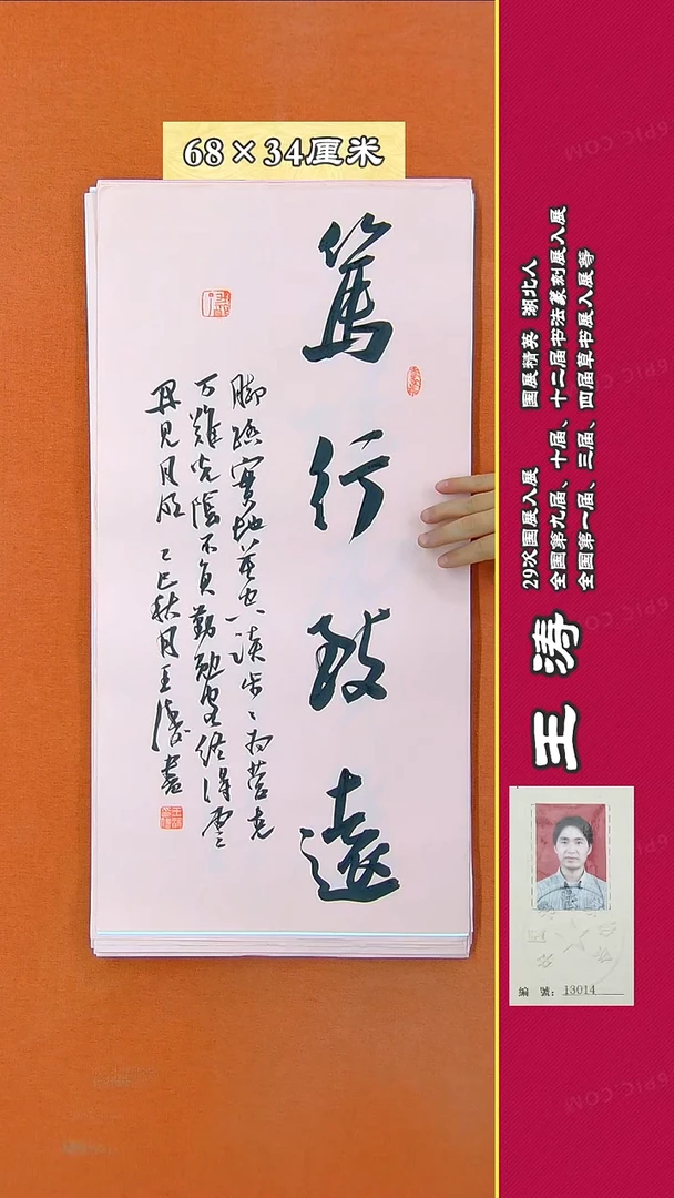 书法596D王涛书法作品