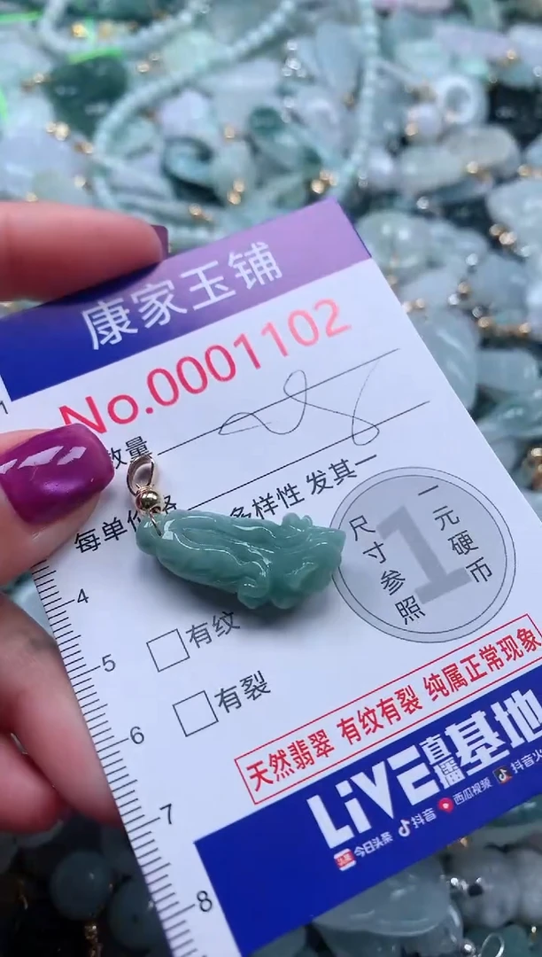 颈饰未镶嵌翡翠1102