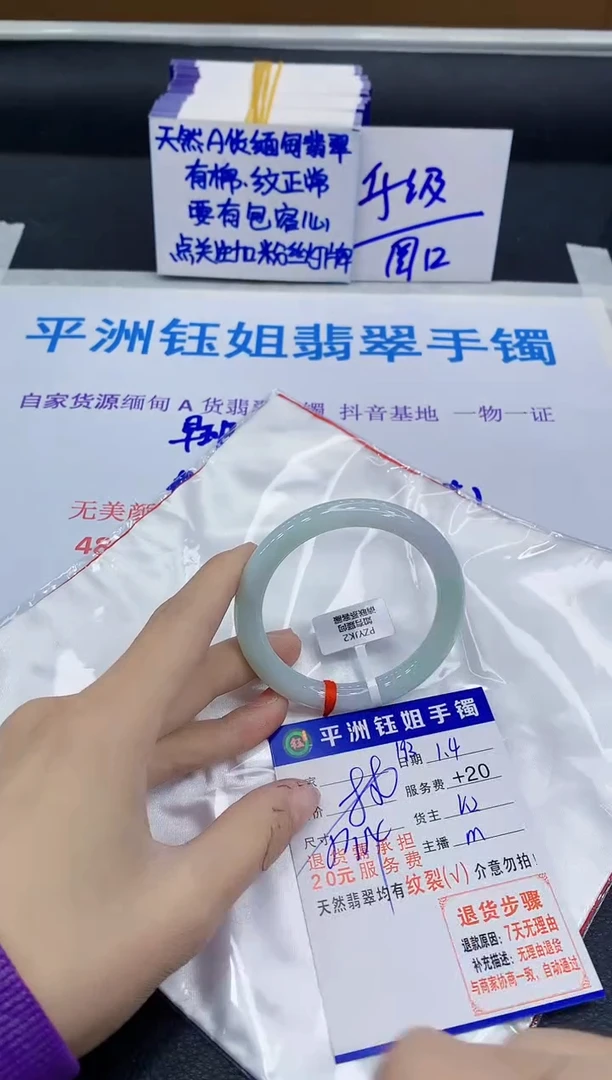 未镶嵌手镯翡翠11111