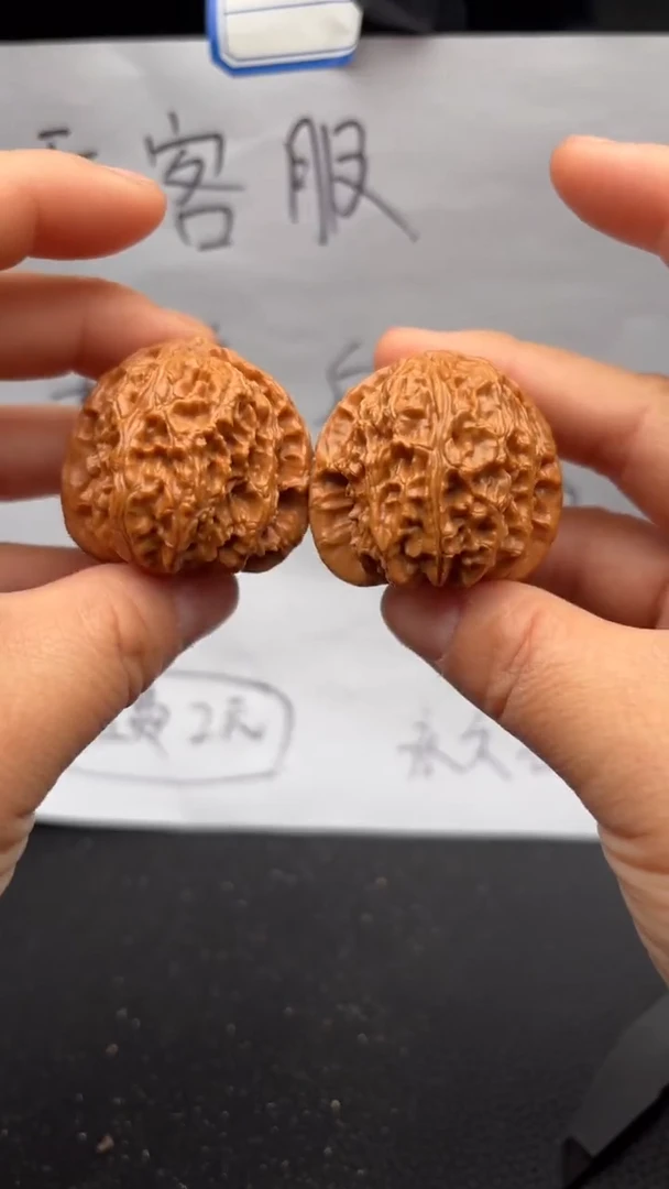 把件文玩核桃153白狮子