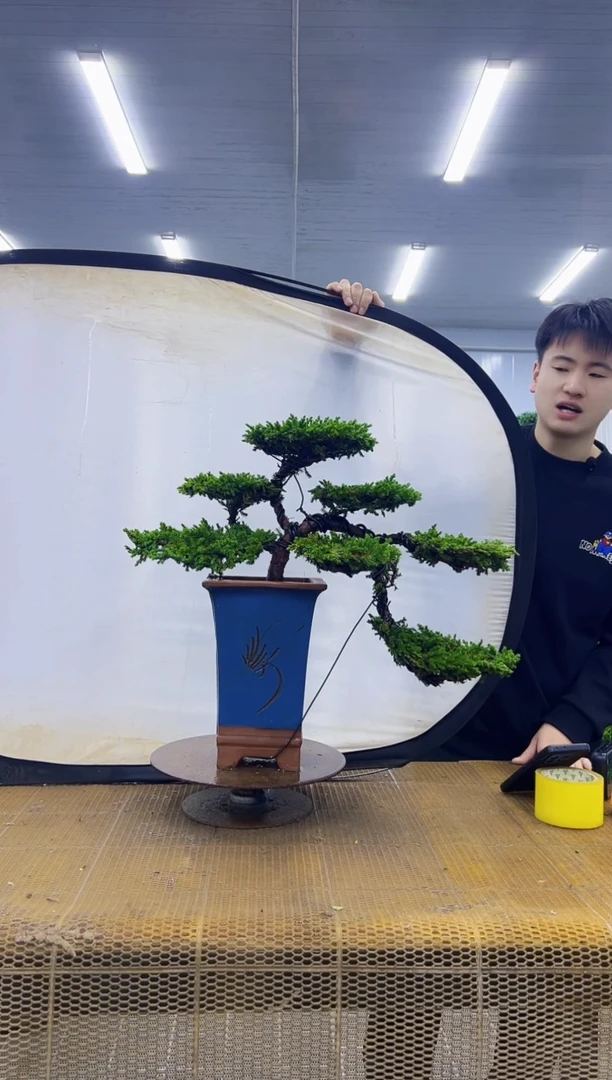 0000000000000000000000000000