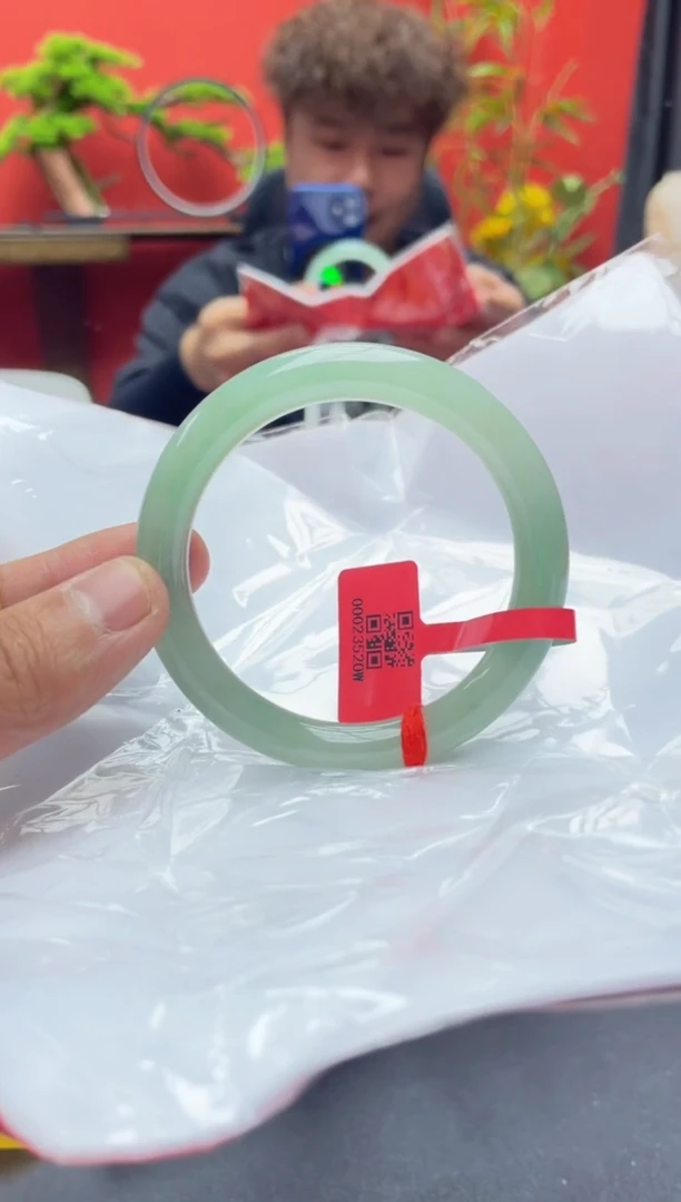 未镶嵌手镯翡翠5