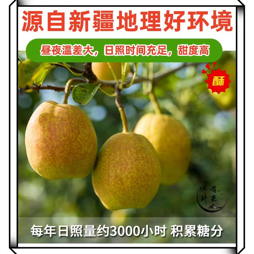 新疆库尔勒香梨酥脆香甜皮薄多汁肉厚好吃新鲜包邮