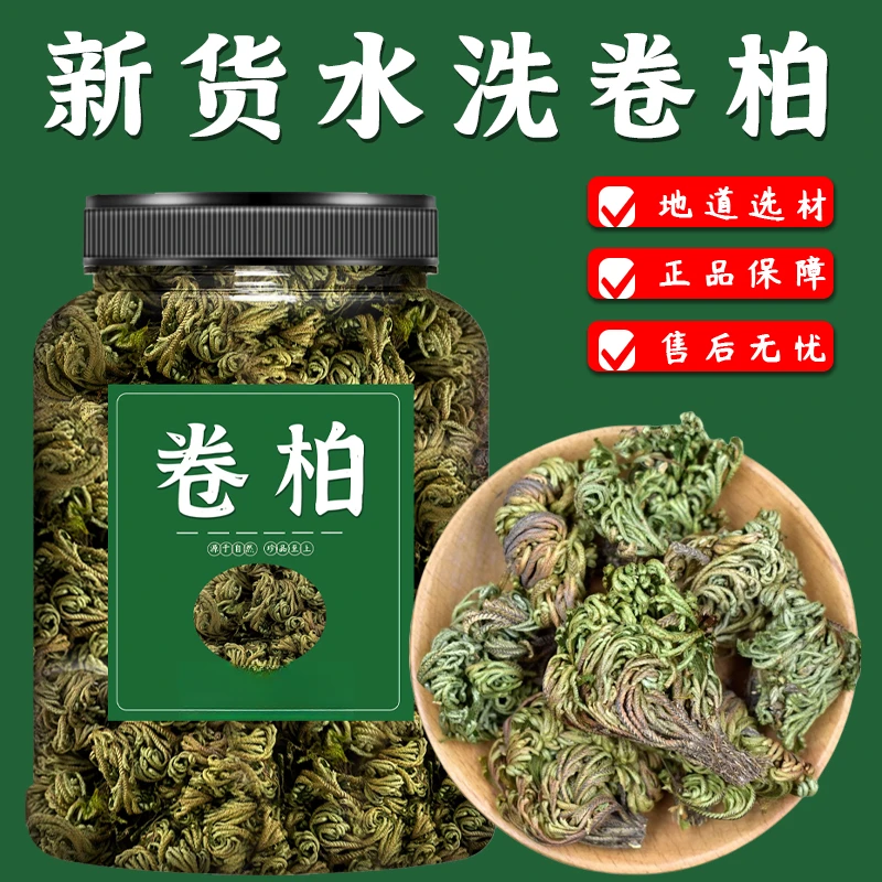 卷柏中药材100g精选高品质天然新鲜干货九死还魂草卷柏叶泡水喝