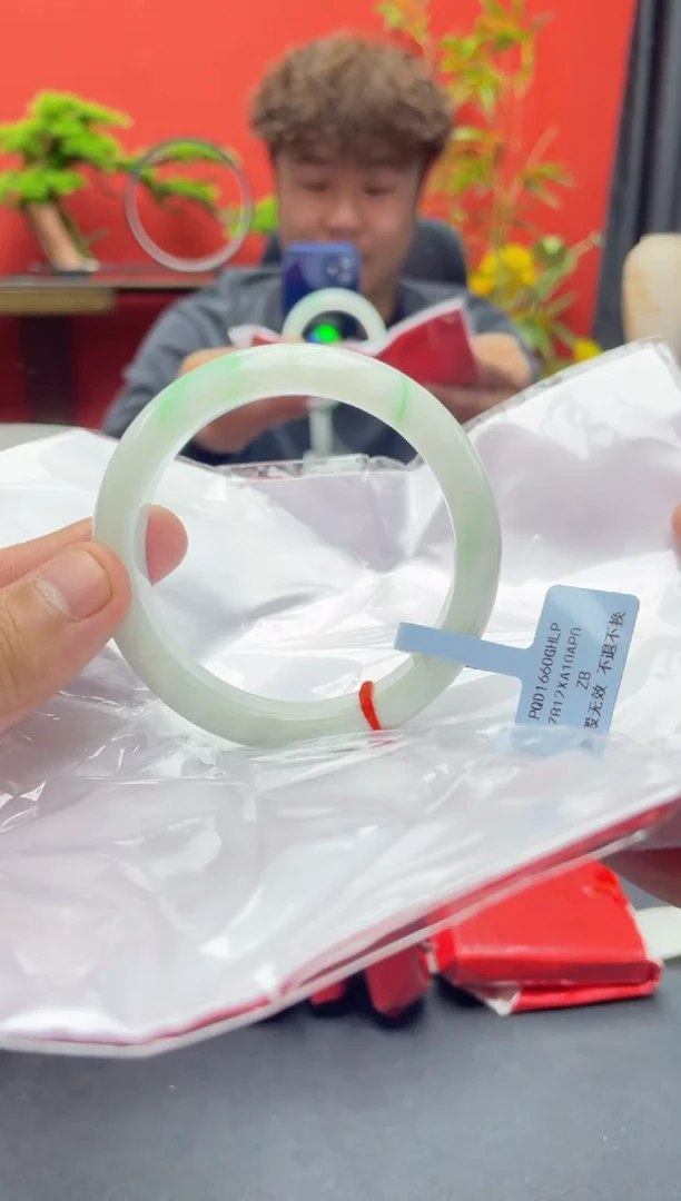 未镶嵌手镯翡翠2