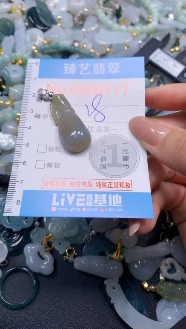 颈饰未镶嵌翡翠9117