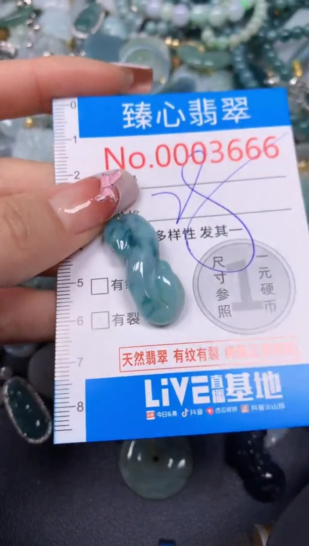 【闪购商品】翡翠颈饰未镶嵌含绳0003666