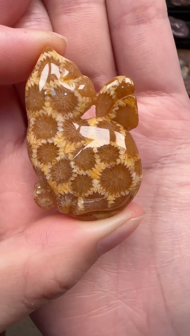 颈饰未镶嵌硅化珊瑚（珊瑚玉）109