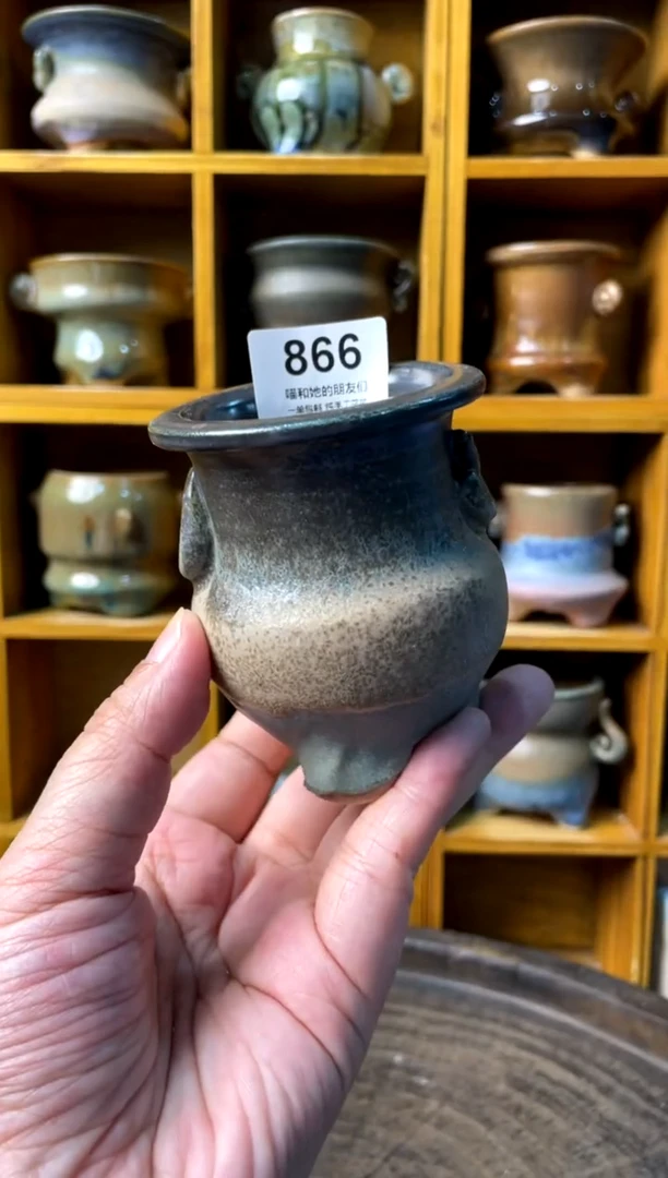 866【多肉花盆多肉盆】