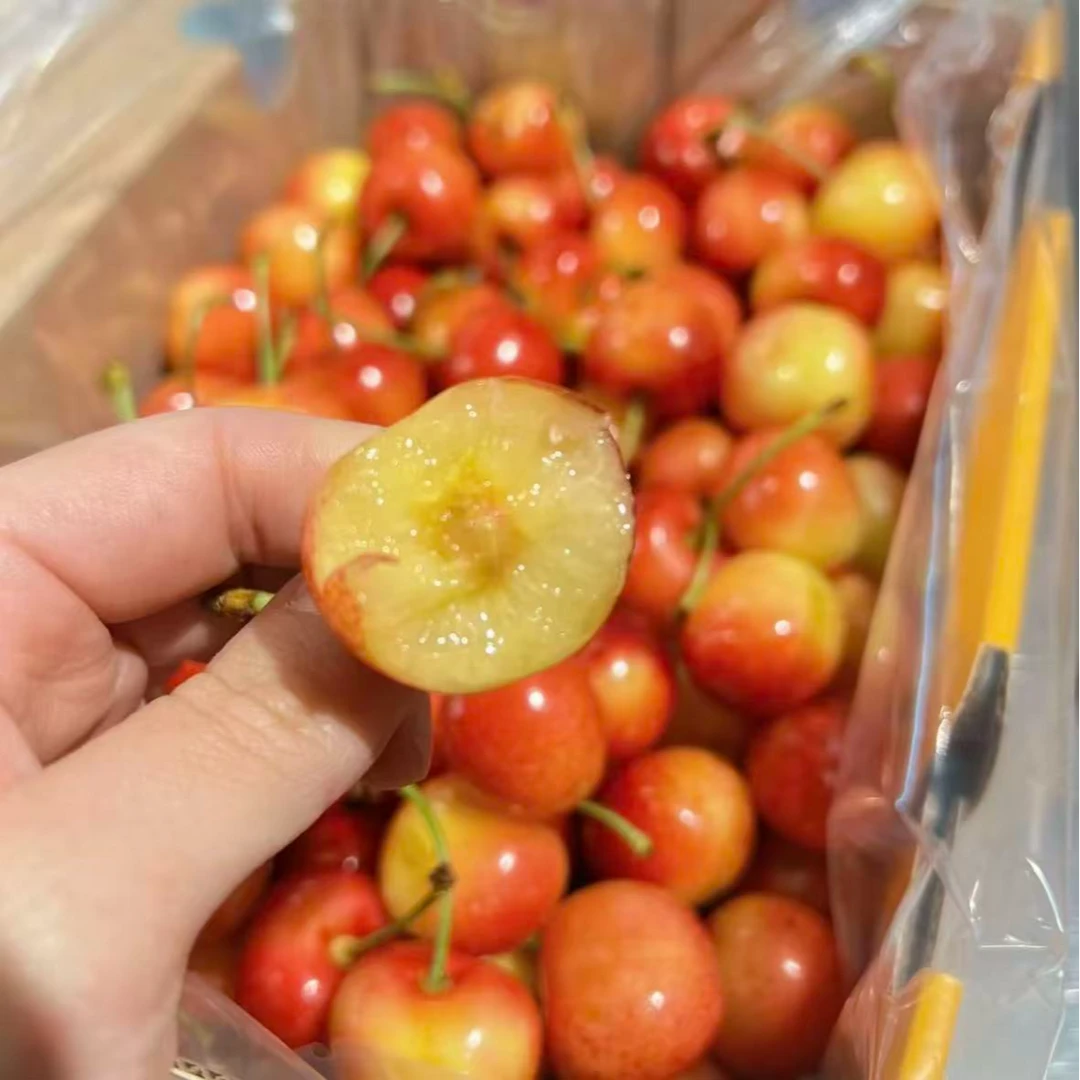智利空运雷尼尔 黄金车厘子 J-JJJ/礼盒1-5斤装 顺丰/雷尼尔樱桃智利共和国