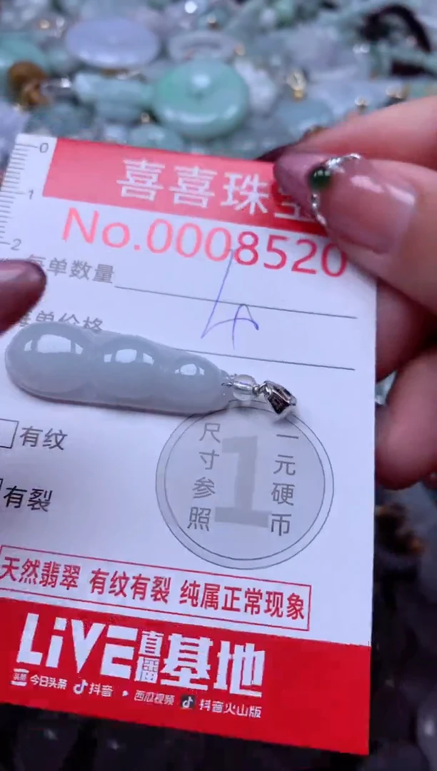 颈饰未镶嵌翡翠8520