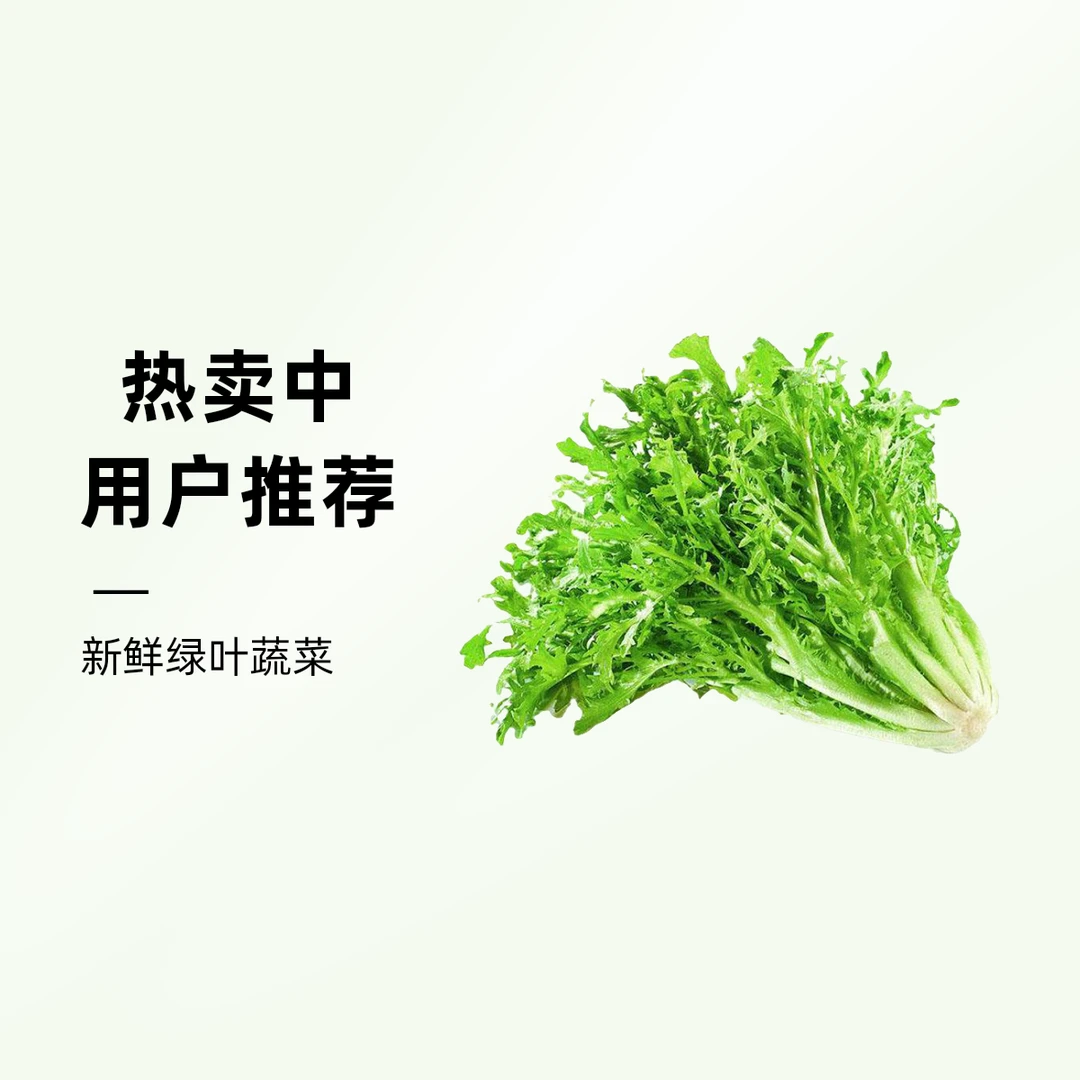 沈阳苦菊500g±50g/袋【好东西】绿色蔬菜