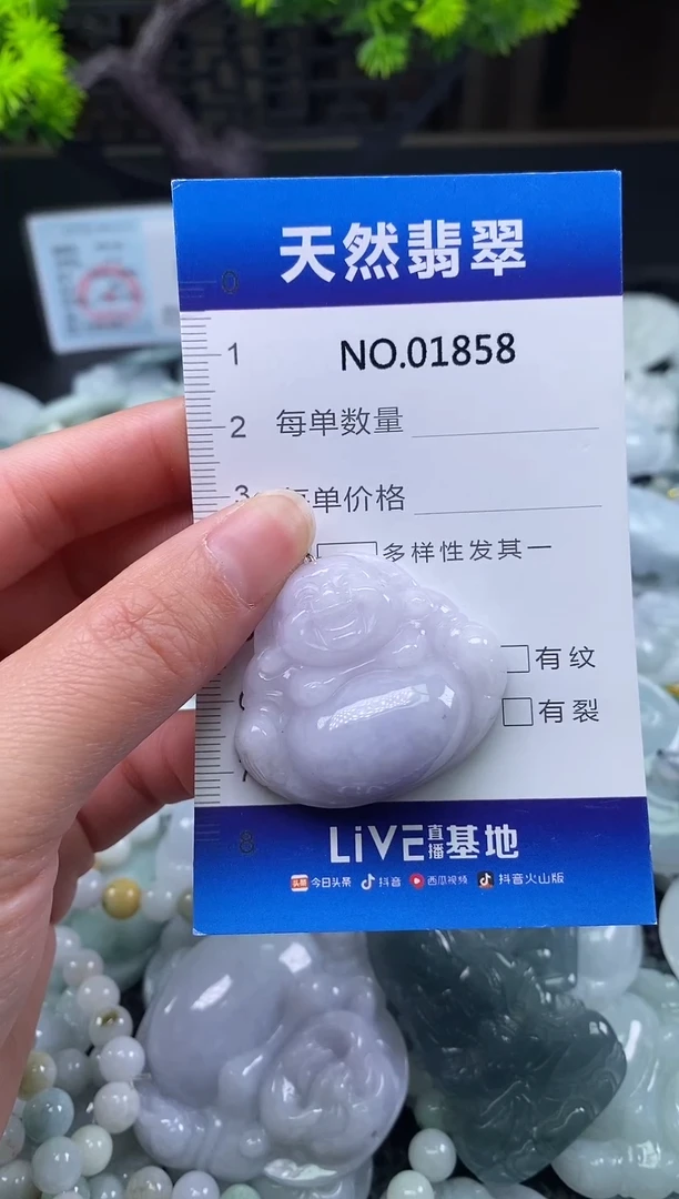 颈饰未镶嵌翡翠天然缅甸翡翠1858