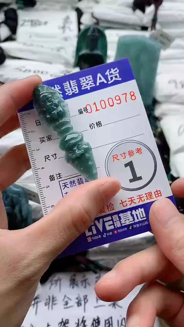 翡翠未镶嵌颈饰0000000000