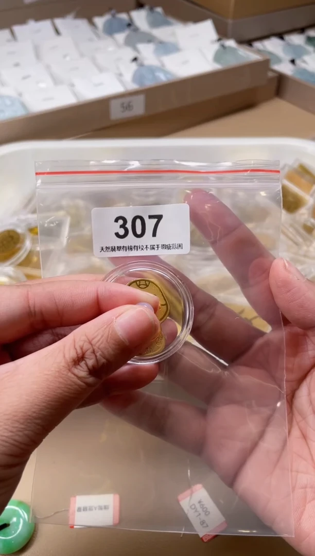 【闪购商品】翡翠颈饰未镶嵌天然缅甸A货翡翠307