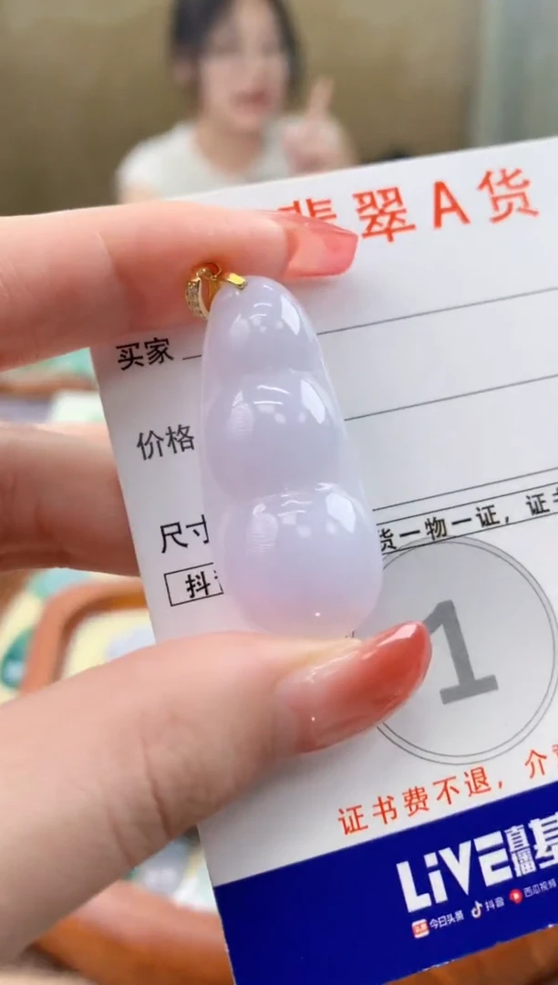 颈饰未镶嵌翡翠天然A货翡翠挂件