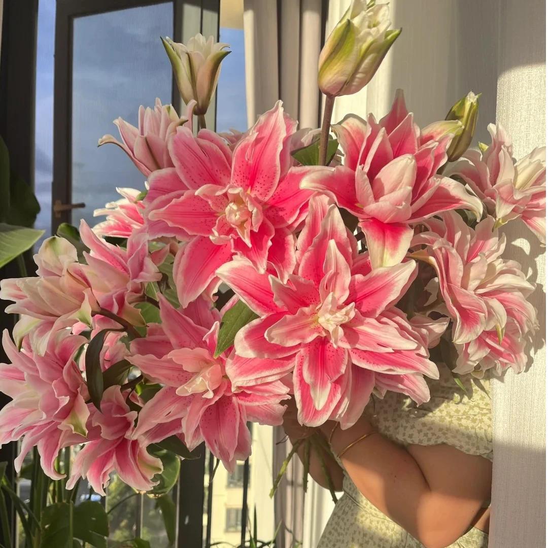 【源头优选】伊莎贝拉重瓣百合 云南直发鲜花家居水养插花鲜切花