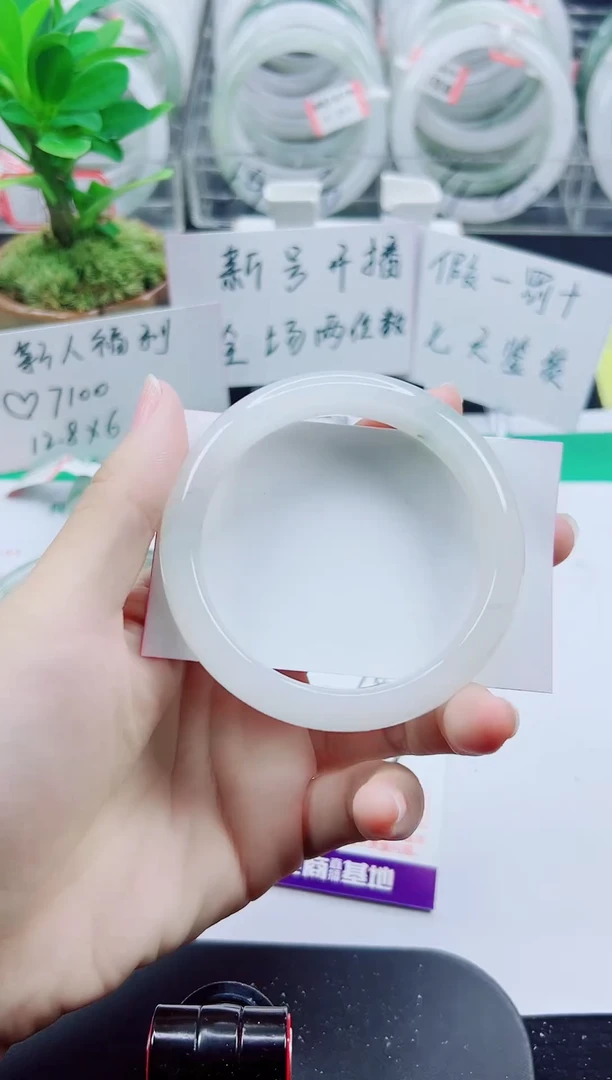 未镶嵌手镯石英质玉109-57/58