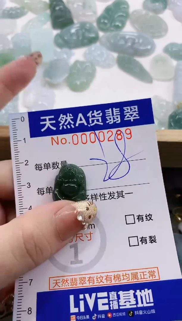 颈饰未镶嵌翡翠天然A货翡翠