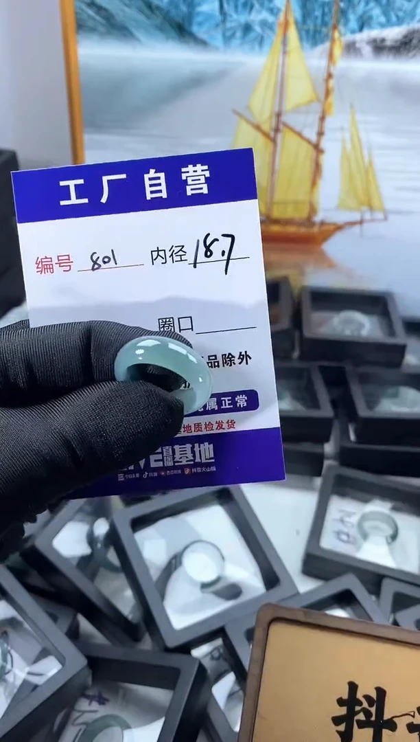 未镶嵌戒圈翡翠801