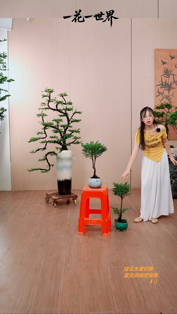无花朵胡**为【闪购链接】凳子上桌面款链接