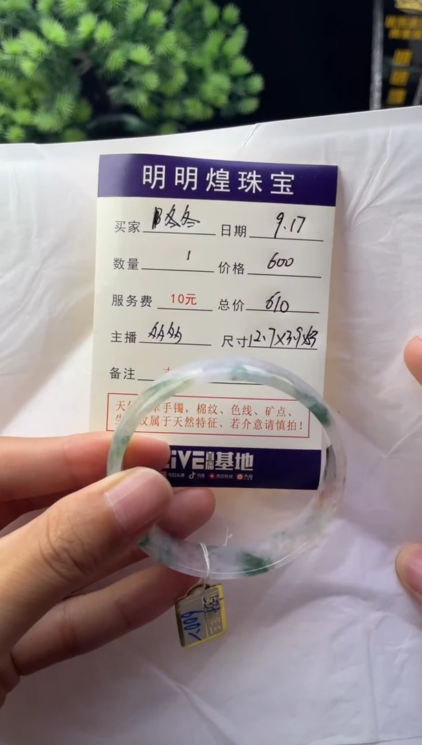 未镶嵌手镯翡翠冬*冬冬107