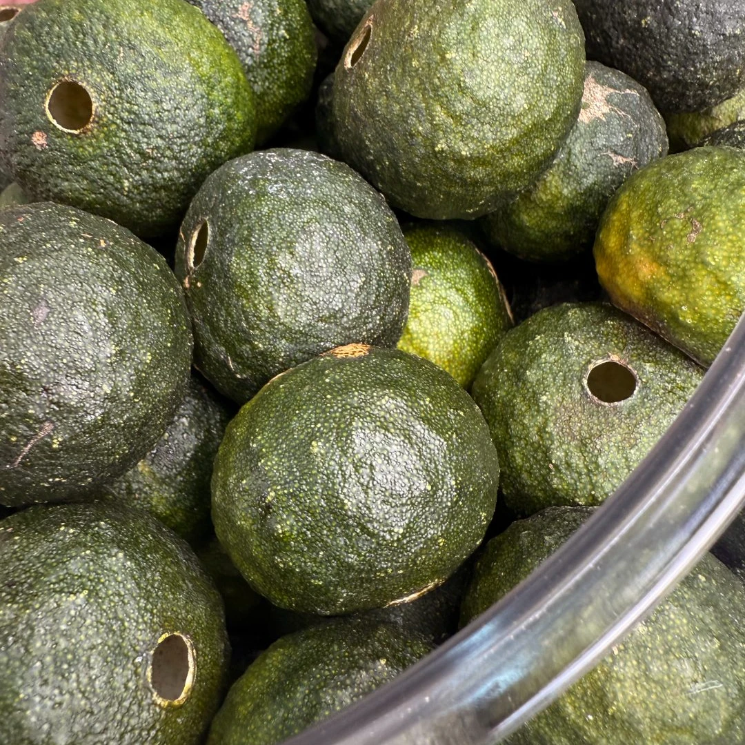 2025年梅江老树原枝青柑壳（250g/500g）