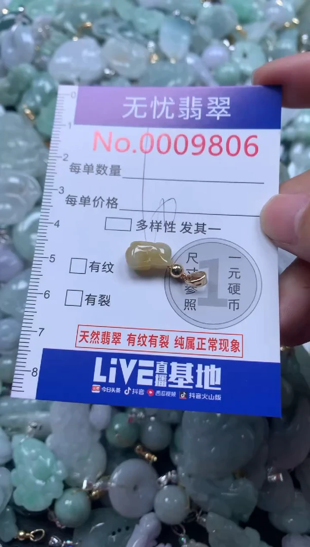 颈饰未镶嵌翡翠9806