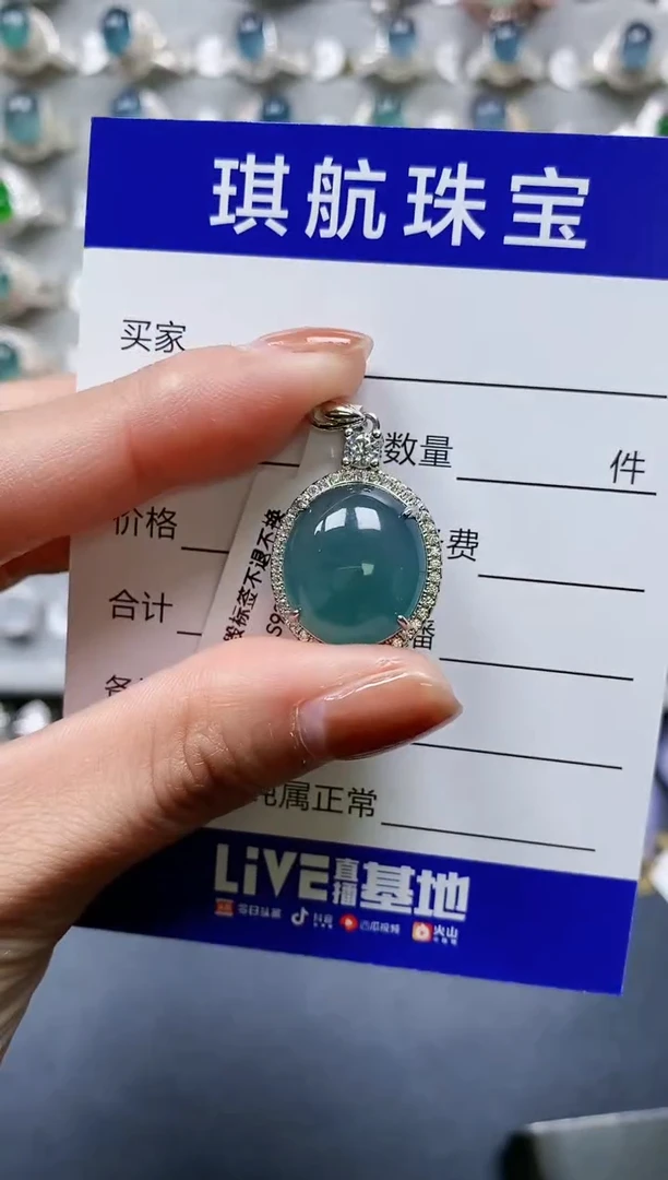 【闪购商品】翡翠颈饰银S925镶嵌0462