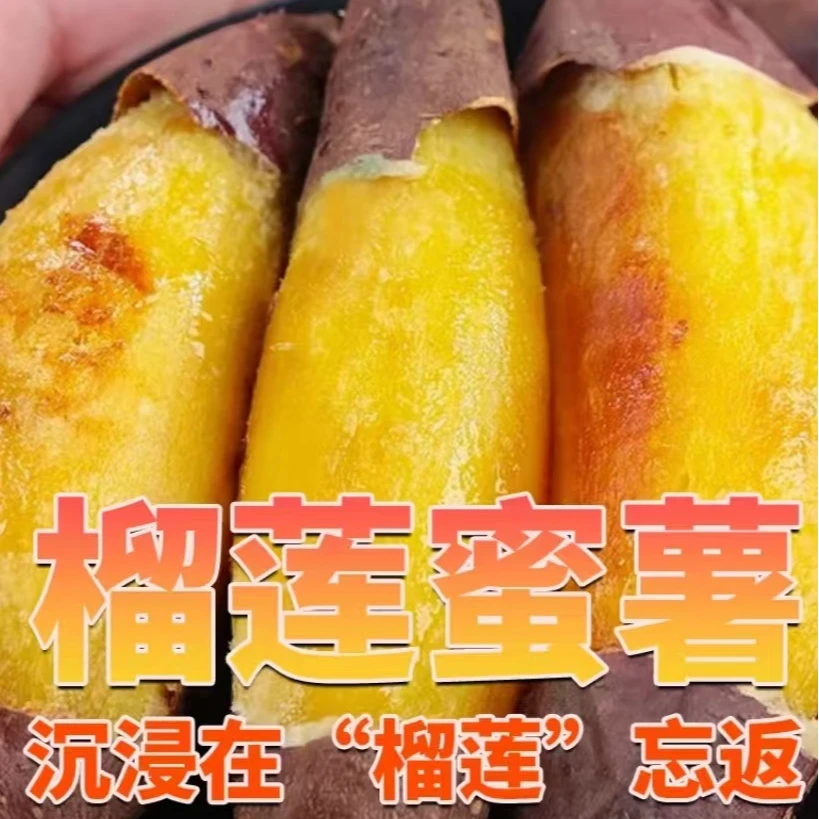 精品中果正宗黄金榴莲蜜薯云南高原种植