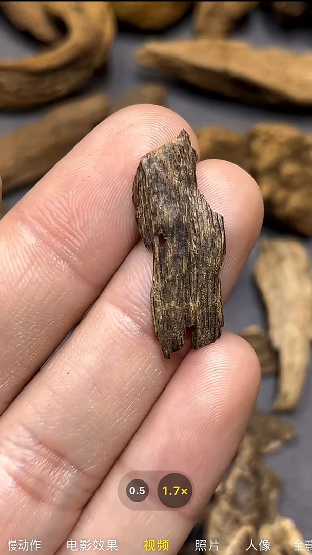 海南琼脂沉香熏香料0.1克