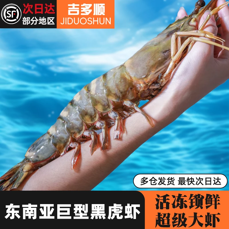 鲜活冷冻东南亚黑虎虾 活冻锁鲜 精选手臂大虾