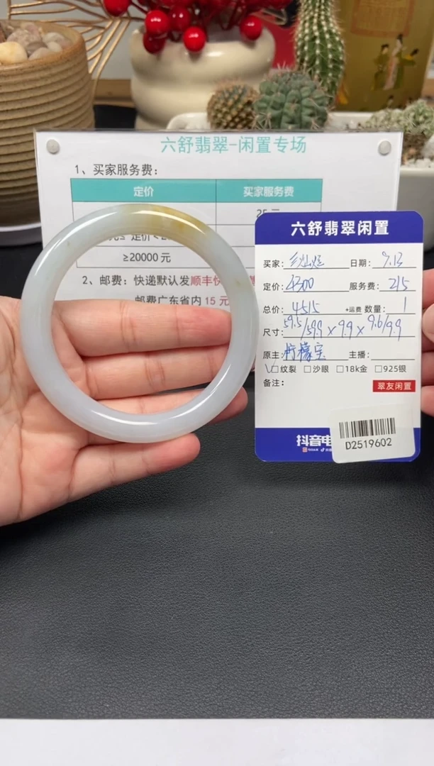 未镶嵌手镯翡翠?**-D2519602