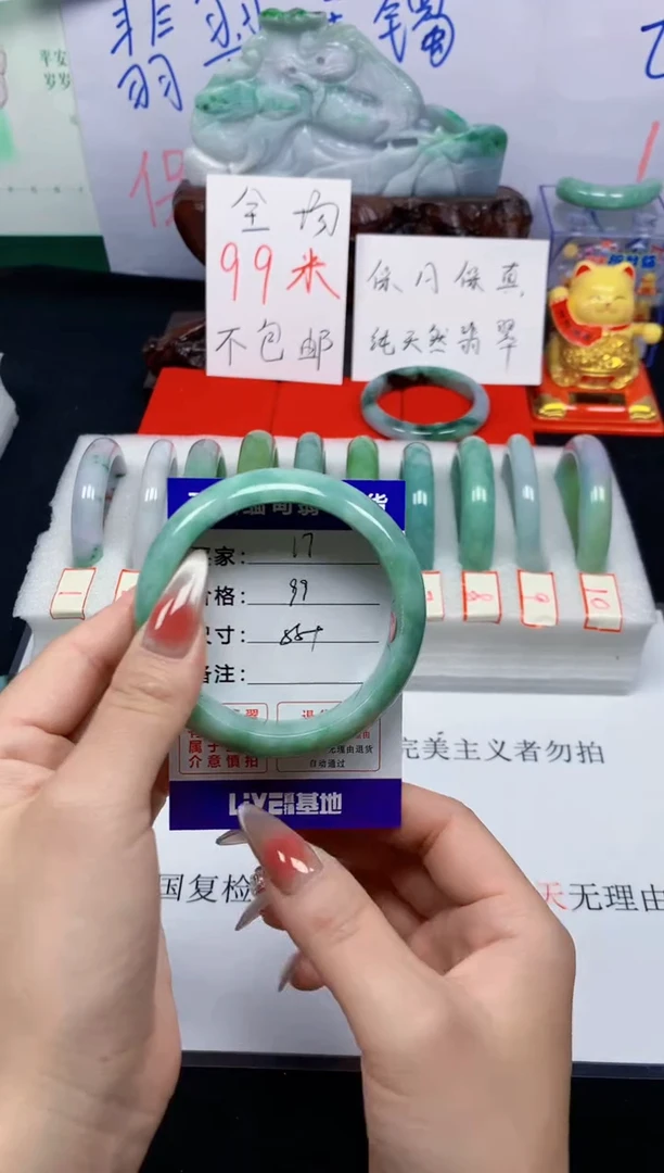 未镶嵌手镯翡翠17