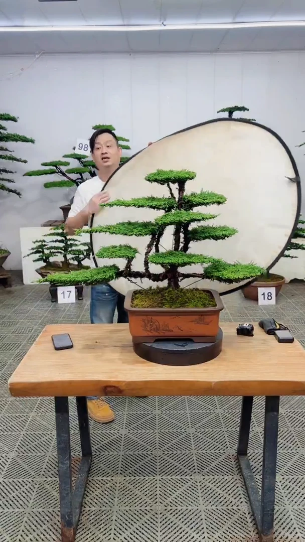 无花朵一物一拍一物一拍