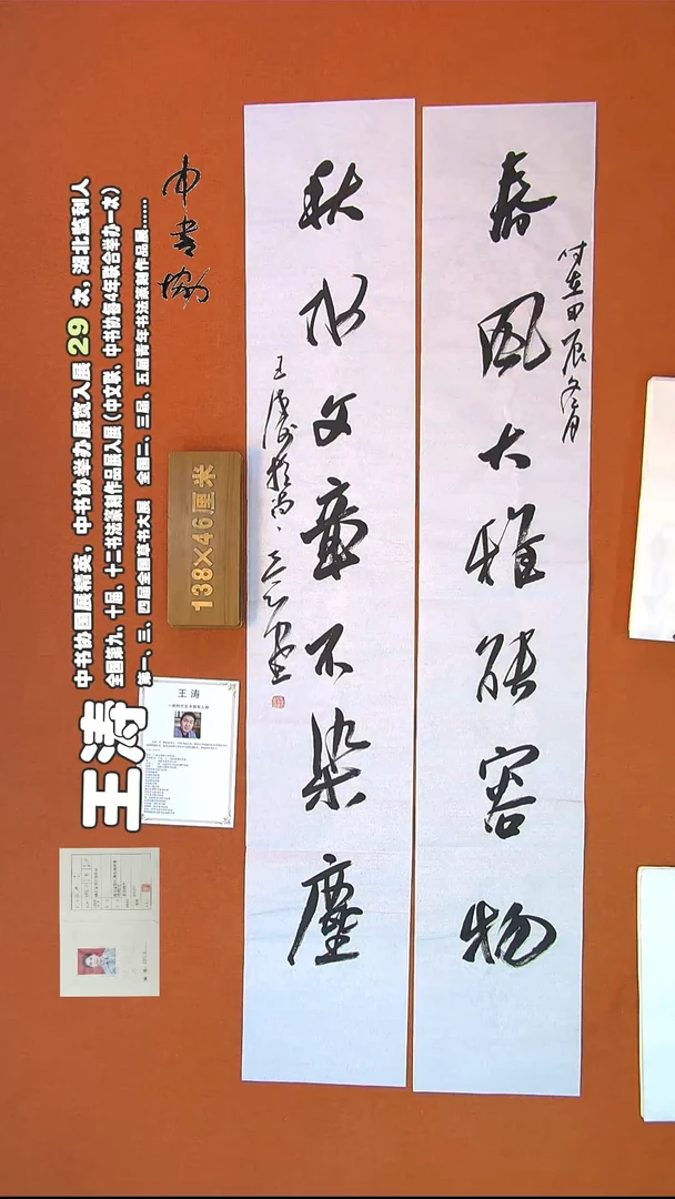 【闪购商品】书法256王涛书法作品