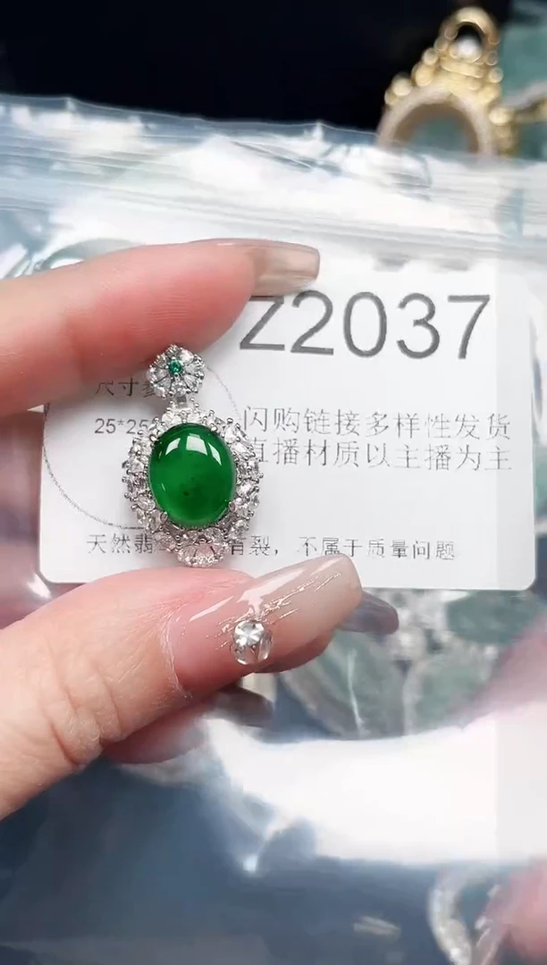 【闪购商品】翡翠颈饰未镶嵌赠皮绳2037