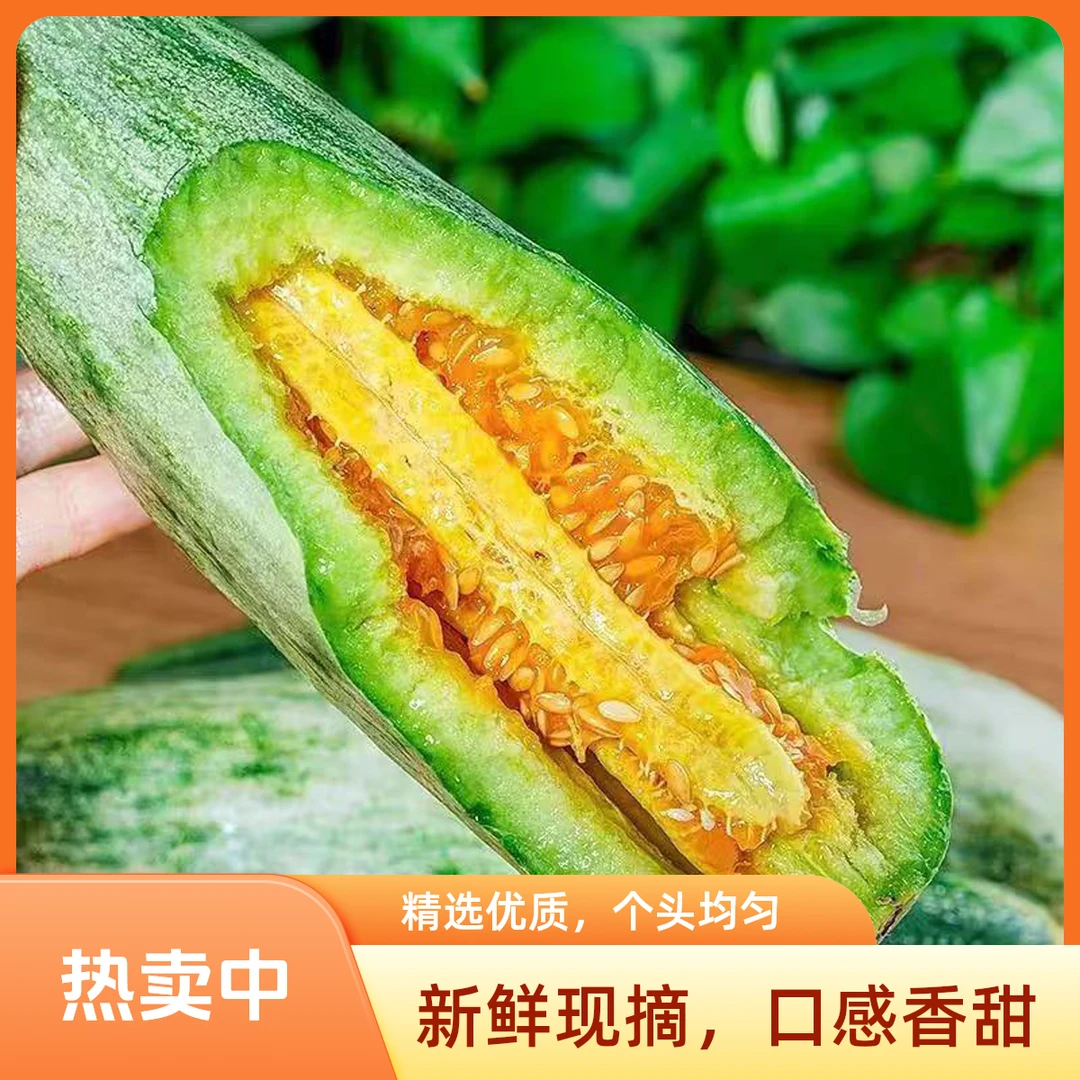 【羊角蜜甜瓜】新鲜当地应季水果 脆甜蜜瓜甜瓜羊角蜜瓜 时令水果